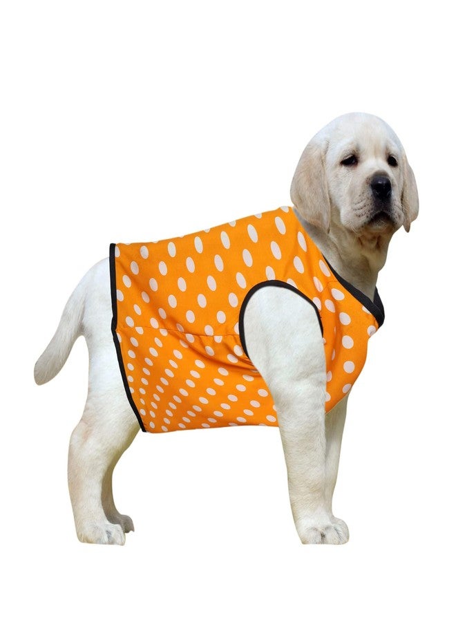 Western Era Funky Soft Cotton Dog T-Shirt | Comfortable & Breathable Dog Clothing | Stylish Sleeveless Vest Pet Outfit (Polka Orange) (XLarge) (26 inches) - Image 1